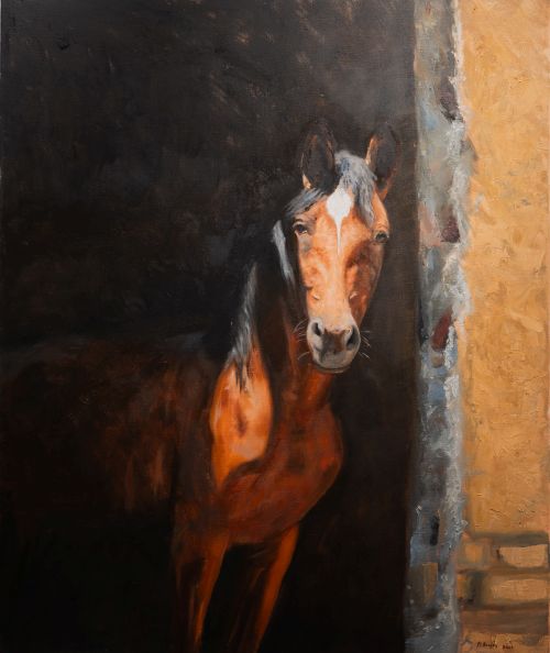 Horse